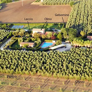 Ferienhaus Podere Campi Al Mare, Donoratico