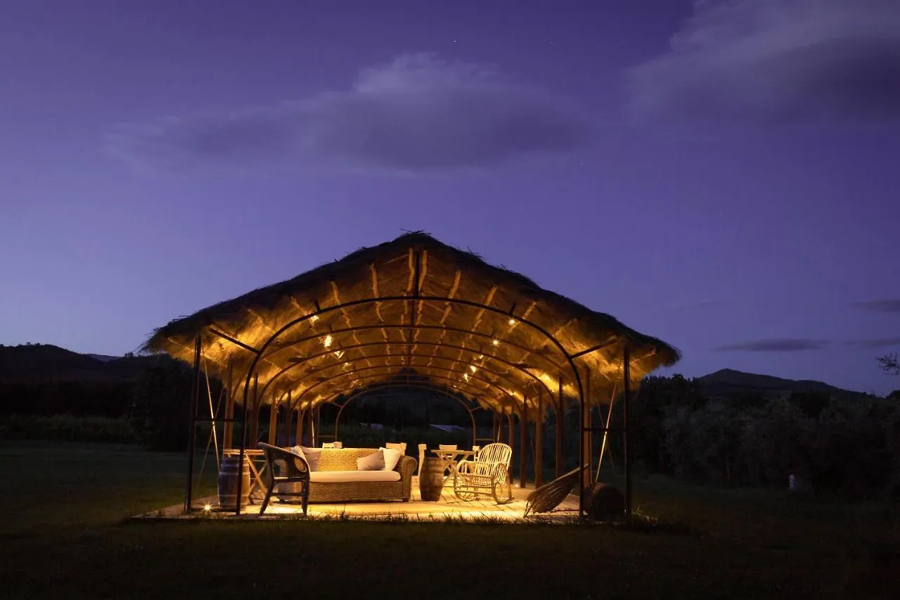Farm stay Cuprena Villa Arezzo