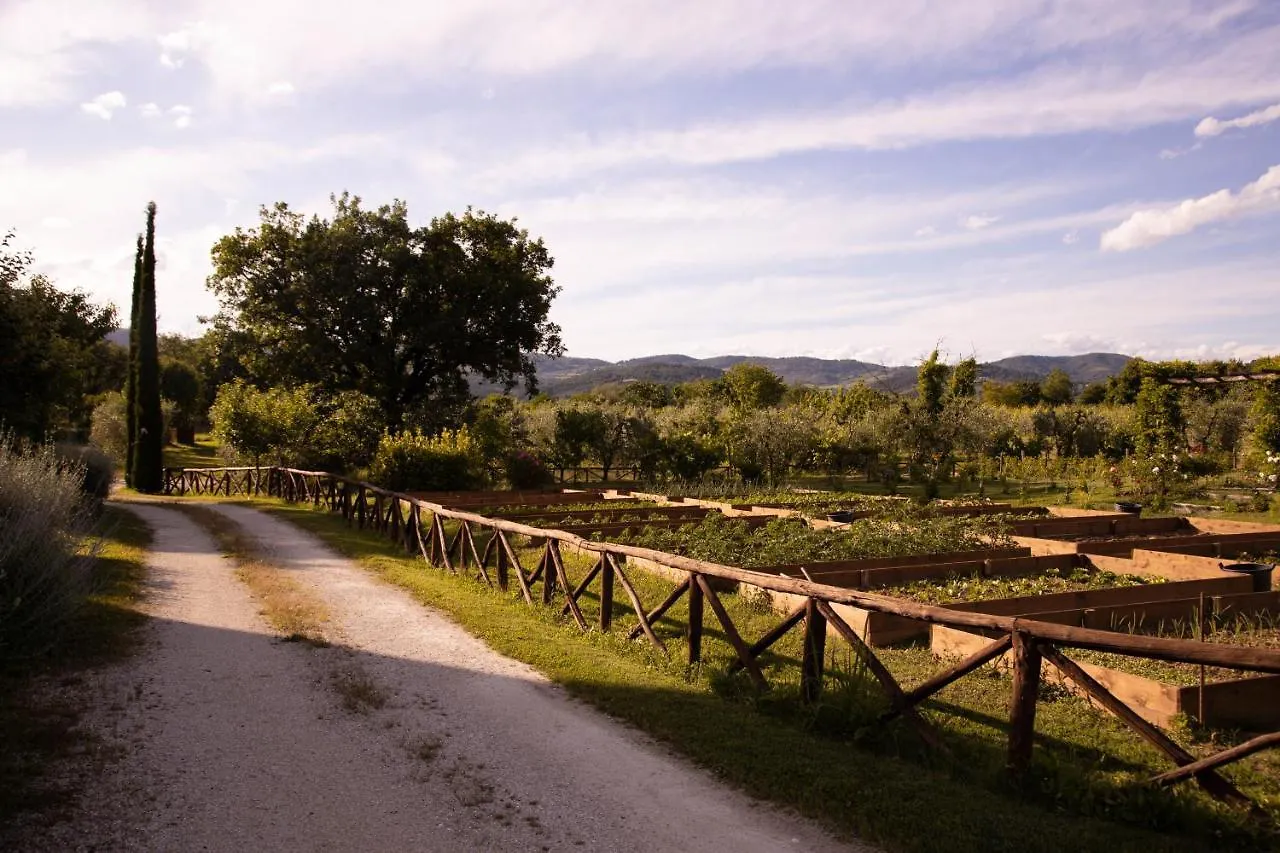 Bauernhof Villa Cuprena Arezzo Italien